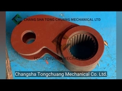 Schwing SLEWING LEVER được sử dụng cho máy bơm bê tông 10018071