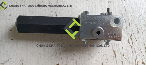 Zoomlion máy bơm bê tông phụ kiện van cân bằng LHDV 33P-11-C6-210